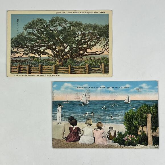 Vtg 1936 Postcards Corpus Christi Texas Giant Oak Goose Island Franklin 1c Stamp - Picture 1 of 5